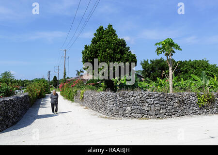 Lokale japanische Frau gehen auf die Straße mit traditionellen Steinmauern an der tropischen Insel Taktomi in Japan Stockfoto