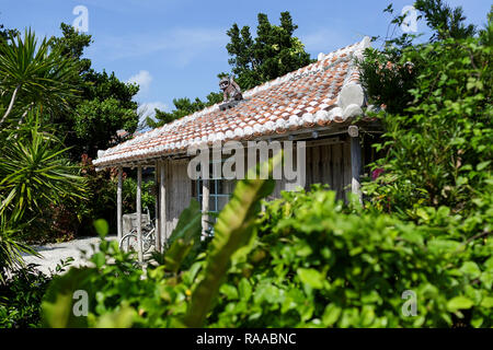 Straße mit traditionellen Steinmauern im Tropical island Taktomi in Japan Stockfoto