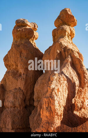 Hoodoo Felsformationen im sedimentären Kalksteinformationen aus den Queens Garden Trail im Bryce Canyon National Park, Utah, USA Stockfoto