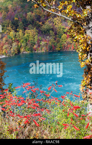 Die Aussicht auf die Niagara Whirlpool auf der kanadischen und US-amerikanischen Grenze. Im Hintergrund ist das bunte Laub der Bäume im Herbst gesehen werden. Stockfoto