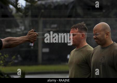 Us-Marines Gunnery Sgt. Aaron Morales, und Staff Sgt. James Lawracy, Militär, Polizei, 3. die Strafverfolgungsbehörden Bataillon, mit oleoresin Capsaicin (OC) Exposition während einer Non-Lethal Waffen Instructor Kurs an Bord Camp Hansen, Okinawa, Japan, Jan. 13, 2017 gesprüht. Der Kurs vermittelt Personal die korrekten Techniken bei der Durchführung von Taser Ausbildung, OC-Exposition und riot control Team Taktik. Stockfoto