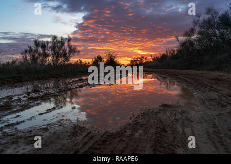 Sonnenuntergang spiegelt sich auf der Pfütze auf einem Pfad im Feld, mit Orange, Gelb und Blau im Winter. Los Santos de la Humosa, Madrid, Spanien. Stockfoto