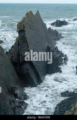 Hartland Quay ungewöhnlichen Felsformationen, Devon, Großbritannien Stockfoto