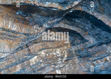 Spektakulär gefaltete Sequenz von abwechselnd grauen Schiefern und Sandsteinen Detail [1 von 5], North Cornwall UK Stockfoto