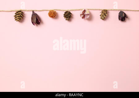 Herbst Dekoration. Trockene Pine Cone, Blume hängend auf String auf rosa Hintergrund Stockfoto