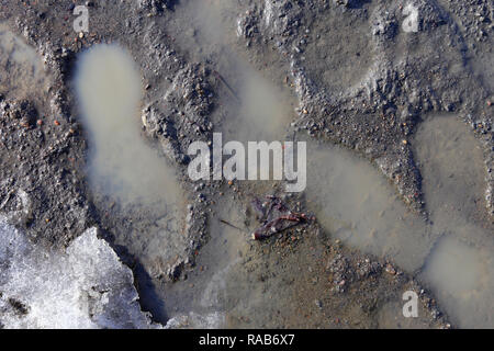 Mehrere menschliche Fußspuren auf einer nassen Oberfläche von einem Laufsteg aus Sand. Schöne Textur. Direkt nach dem Regen während der ​Spring Saison in Finnland schoß. Stockfoto