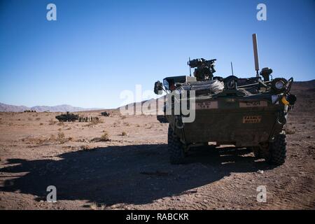 Eine vorläufige gepanzerten Fahrzeug (IAV) Stryker Parks während der Übung, NTC-17-03, National Training Center, Ft. Irwin, CA., Jan. 13, 2017. Das National Training Center führt Hart, realistisch, Unified Land arbeiten mit unseren Vereinigte Aktion Partner Brigade Combat Teams und anderen Einheiten für den Kampf vorbereiten, während die Betreuung der Soldaten, Zivilisten, und Familienmitglieder. Stockfoto