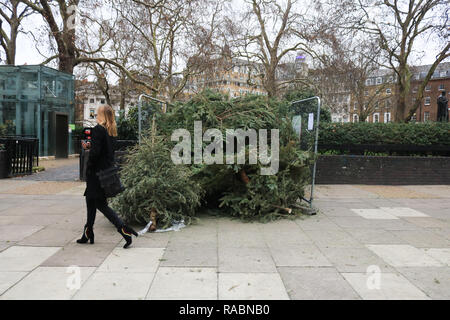 London, Großbritannien. 3 Jan, 2019. Weihnachtsbäume entsorgt werden für die Sammlung in einer Aufbereitungsstelle in Westminster Credit: Amer ghazzal/Alamy leben Nachrichten Stockfoto