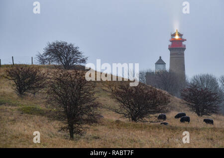 31. Dezember 2018, Mecklenburg-Vorpommern, Arkona: Der Leuchtturm (r) im Jahr 1901 errichtet und die historische Schinkel Turm aus dem Jahre 1827 am Kap Arkona in Putgarten auf der Insel Rügen (Mecklenburg-Vorpommern). Kap Arkona ist der nördlichste Punkt der Insel Rügen. Während die 35 Meter hohen Backsteingebäude im Jahre 1901 errichtet, die noch heute sendet Licht Signale über das Meer, die Schinkel Turm dient als Museum. Beide Gebäude sind als Aussichtstürme geklettert werden. Foto: Patrick Pleul/dpa-Zentralbild/ZB Stockfoto
