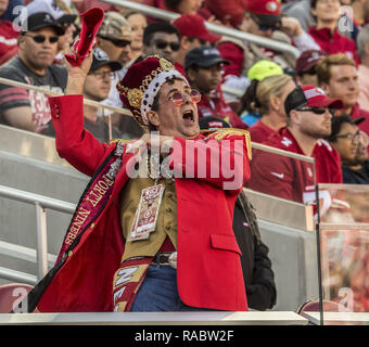Santa Clara, Kalifornien, USA. 2. Nov 2014. 49er Ventilator ein wenig verrückt nach dem Spiel am Sonntag, 2. November 2014 in Santa Clara, Kalifornien. Die Rams besiegten die 49ers 13-10. Credit: Al Golub/ZUMA Draht/Alamy leben Nachrichten Stockfoto