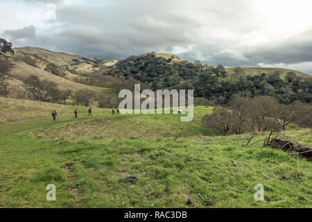 Wanderer in grüne Hügel Land unter dramatischen Wolken, Sunol Regional Park, Kalifornien Stockfoto