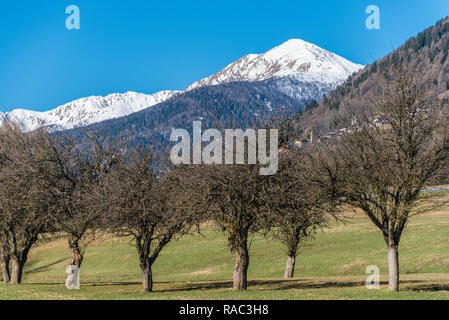 Frühling in Italien, grünes Gras, Bäume und die schneebedeckten Berge der Brenta Dolomiten. Berge Panorama. Trentino, Trient Alpen, südlichen Rhätischen Alpen Stockfoto