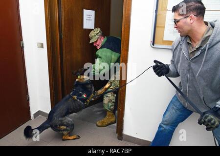 Us Air Force military Working Dog Heny und seine handler Älterer Flieger Joe Bailey, zur 31 Sicherheitskräfte Geschwader von Aviano zugeordnet, Praxis kontrollierten Aggression Training mit US-Armee Sgt. Robert Cavaco, der 525Th Military Working Dog Loslösung zugewiesen, in der Caserma Ederle, Vicenza, Italien Jan. 17, 2017. Militärische Gebrauchshund Mannschaften sind in der Patrouille, Droge und Explosive Detection und spezialisierte mission Funktionen für das Verteidigungsministerium und andere Regierungsbehörden verwendet. Der 525Th Military Working Dog Loslösung, gemeinsame Schulungen mit der italienischen Polizei Squadra Cinofili K 9 Flughafen Ven Stockfoto