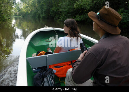 Fluss Kreuzfahrt entlang des Kinabatangan Fluss Sandakan auf der Suche nach Wildtieren wie Orang Utan und proboscis Monkey. Stockfoto