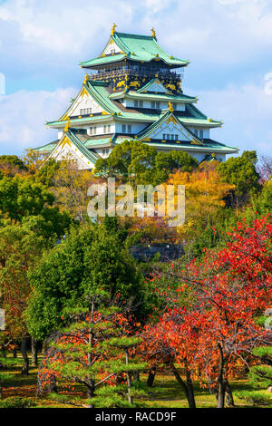 Burg von Osaka ist eine japanische Burg in Osaka, Japan. Dieses Schloss ist eines der bekanntesten Wahrzeichen Japans. Stockfoto