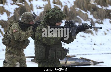 RUKLA, Litauen - Sgt. Hunter McTarsney, Teamleiter, in der Lage, Unternehmen, 2.BATAILLON, 503Rd Infanterie Regiment, 173Rd Airborne Brigade, und ein litauischer Soldat an der Eisernen Wolf mechanisierte Infanteriebrigade, Durchführung schließen Quartal Treffsicherheit Ausbildung in Rukla, Litauen, Jan. 24, 2017 zugeordnet. Die US-Fallschirmjäger partnered mit litauischen Amtskollegen für eine zweiwöchige Treffsicherheit Kurs auf Flexibilität und Waffe Kontrolle konzentriert. Die 'Sky Soldaten des 2 Mrd., 503Rd Inf. Regt. sind auf einem Training Rotation zur Unterstützung der Atlantischen lösen, einem US-amerikanischen LED-aufwand in Osteuropa zeigt, dass die US-co Stockfoto