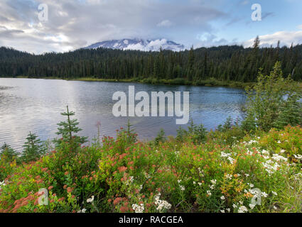 Reflexion Seen ist eine Sammlung von Seen im Mount Rainier National Park in Washington State Stockfoto