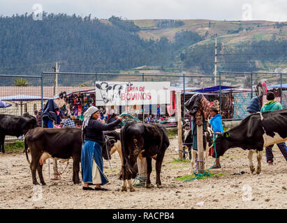 Samstag, Viehmarkt, Otavalo, Provinz Imbabura, Ecuador, Südamerika Stockfoto