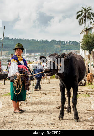 Samstag, Viehmarkt, Otavalo, Provinz Imbabura, Ecuador, Südamerika Stockfoto