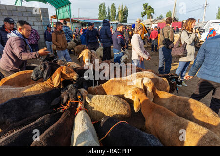 Sonntag, Tiermarkt, Karakol, Kirgisistan, Zentralasien, Asien Stockfoto
