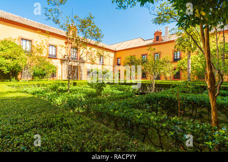 Die üppigen Gärten und Hecken in den Innenhöfen und Außenbereich des Real Alcazar, Weltkulturerbe der UNESCO, Sevilla, Andalusien, Spanien, Europa Stockfoto