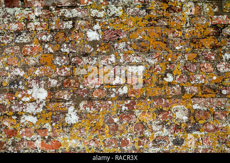 Tudor Steine in der Wand, Muster, Tudor Stil, Architekt, Architektur, Hintergründe, Mauer, Braun, integrierte Struktur, Nahaufnahme, Baumaterial, Stockfoto