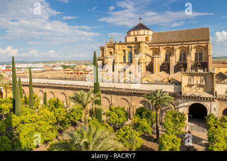 Die Moschee-kathedrale (Große Moschee von Cordoba) (Mezquita), UNESCO-Weltkulturerbe, vom Glockenturm, Cordoba, Andalusien, Spanien, Europa Stockfoto