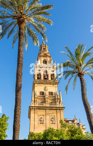Der Glockenturm der Moschee-kathedrale (Große Moschee von Cordoba) (Mezquita), UNESCO, vom Innenhof, Cordoba, Andalusien, Spanien Stockfoto