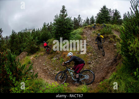 Eine Gruppe von Mountainbikern Ride a Trail in Glyncorrwg in der afan Valley in South Wales. Stockfoto
