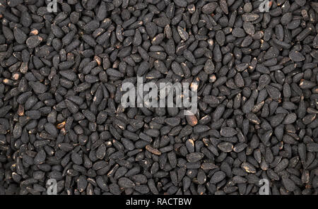 In der Nähe Bild von schwarzkümmel (Nigella sativa) Samen. Stockfoto