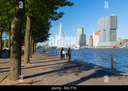 Menschen Radfahren entlang der Nieuwe Maas, Rotterdam, Zuid Holland, Niederlande, Europa Stockfoto