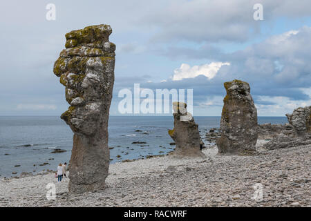Einzigartige Langhammars sea Stacks, Faro, Gotland, Schweden, Skandinavien, Europa Stockfoto