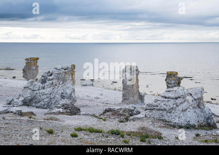 Einzigartige Langhammars sea Stacks, Faro, Gotland, Schweden, Skandinavien, Europa Stockfoto