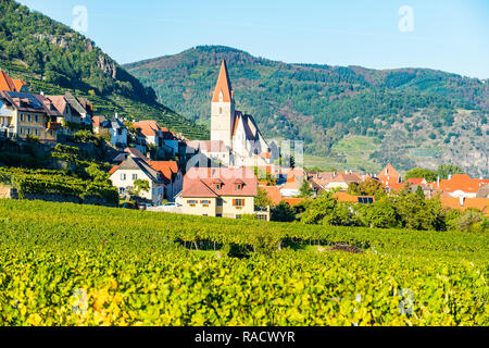 Kirche Pfarrkirche Mariae Himmelfahrt in Weissenkirchen in den Weinbergen auf der Donau, Wachau, UNESCO-Weltkulturerbe, Österreich, Europa Stockfoto