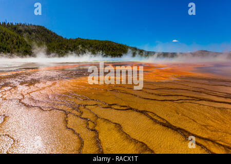 Grand Prismatic Spring, Yellowstone Nationalpark, UNESCO-Weltkulturerbe, Wyoming, Vereinigte Staaten von Amerika, Nordamerika Stockfoto