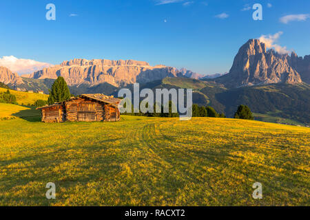 Letzten Strahlen der Sonne auf traditionelle Hütte mit Blick auf den Langkofel und Sella Gruppe, Grödnertal, Südtirol, Dolomiten, Italien, Europa Stockfoto