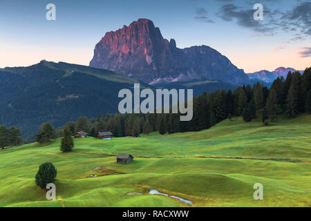 Erstes Licht auf Langkofel Peak, Daunei, Wolkenstein in Gröden, Gröden, Südtirol, Dolomiten, Italien, Europa Stockfoto