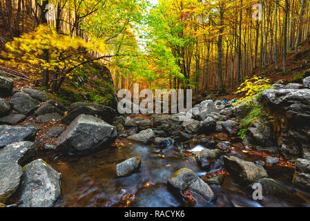 Herbst an der Dardagna Wasserfälle, Tosco Emiliano Apennin, Apuanischen Alpen, Lizzano in Belvedere, Emilia Romagna, Italien, Europa Stockfoto