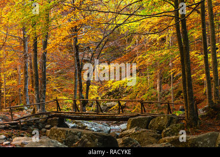 Herbst an der Dardagna Wasserfälle, Tosco Emiliano Apennin, Apuanischen Alpen, Lizzano in Belvedere, Emilia Romagna, Italien, Europa Stockfoto