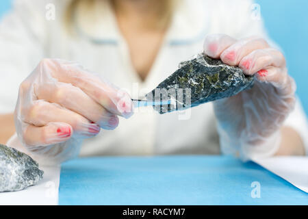 Eine Frau lab Arbeiter untersucht die Steine mit einer Pinzette nimmt die Fasern von schädlichen Asbest. Stockfoto