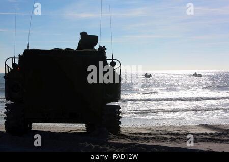 Marines verhalten Angriff Amphibienfahrzeug Training während der Ship-to-shore Operationen in Camp Lejeune, N.C., Jan. 19, 2017. Die Marines praktiziert Amphibische Angriffe und amphibische Demonstrationen während der Dreitägigen Evolution. Die Marines in den 2 Assault Amphibian Bataillon zugeordnet sind, 2. Marine Division. Stockfoto