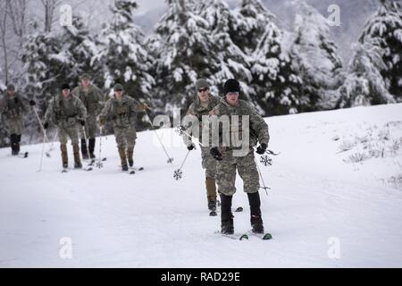 Us-Soldaten zu Alpha Company, 3.BATAILLON, 172Nd Infanterie Regiment, 86th Infantry Brigade Combat Team (Berg), Vermont Nationalgarde und Charlie Company, 1.BATAILLON, 157 Infanterie Regiment, 86th Infantry Brigade Combat Team (Berg), Colorado National Guard, Ski im Camp Ethan Allen Training Website, Jericho, Vt, 25. Januar 2017 vergeben. Soldaten aus Vermont und Colorado National Guard in einer Stress-shoot-Ausbildung, die Squads Skifahren, Schießen und miteinander kommunizieren im bergigen Gelände teilgenommen. Stockfoto