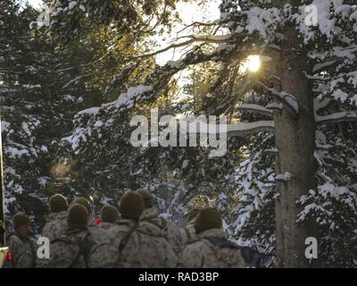 Marines mit 2Nd Battalion, 2nd Marine Regiment, versammeln sich um einen Ausbilder, bevor Sie eine Wanderung in die Berge Training Übung 1-17 in der Marine Corps Mountain warfare Training Center Bridgeport, Calif., Ausbildung, Jan. 17, 2016. MCMWTC ist einer der abgelegensten Beiträge das Marine Corps", bestehend aus ca. 46.000 Hektar großen Gelände mit Höhen von 5.000 bis 11.000 Fuß reichen. Die Ausübung Züge Elemente der Marine Air-Task Force über die warfighting Funktionen für Operationen in Bergregionen, high-altitude und kaltem Wetter Umgebungen, um die Fähigkeit einer Einheit verbessern Stockfoto