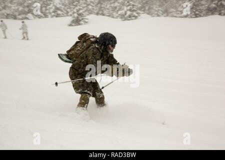 Ein Marine mit 2Nd Battalion, 2nd Marine Regiment, Praktiken Skifahren während der Berg Training Übung 1-17 in der Marine Corps Mountain warfare Training Center Bridgeport, Calif., Ausbildung, Jan. 19, 2016. MCMWTC ist einer der abgelegensten Beiträge das Marine Corps", bestehend aus ca. 46.000 Hektar großen Gelände mit Höhen von 5.000 bis 11.000 Fuß reichen. Die Ausübung Züge Elemente der Marine Air-Task Force über die warfighting Funktionen für Operationen in Bergregionen, high-altitude und kaltem Wetter Umgebungen, um die Fähigkeit einer Einheit zu schießen, zu verbessern, Stockfoto