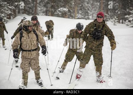 Ein Berg Kriegsführung Kursleiter führt Marines mit 2Nd Battalion, 2nd Marine Regiment, in Skifahren Übungen während der Berg Training Übung 1-17 in der Marine Corps Mountain warfare Training Center Bridgeport, Calif., Ausbildung, Jan. 19, 2016. MCMWTC ist einer der abgelegensten Beiträge das Marine Corps", bestehend aus ca. 46.000 Hektar großen Gelände mit Höhen von 5.000 bis 11.000 Fuß reichen. Die Ausübung Züge Elemente der Marine Air-Task Force über die warfighting Funktionen für Operationen in Bergregionen, high-altitude und kaltem Wetter Umgebungen um eine Einheit erhöhen Stockfoto