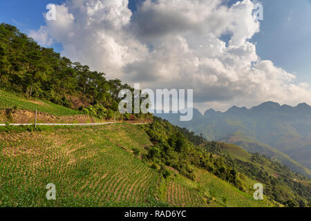 Cliff Side Road auf Ha Giang Loop in der Provinz Ha Giang, Vietnam, Asien Stockfoto