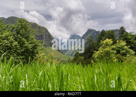 Reis Patty und Berge, Ha Giang Loop, Provinz Ha Giang, Vietnam, Asien Stockfoto