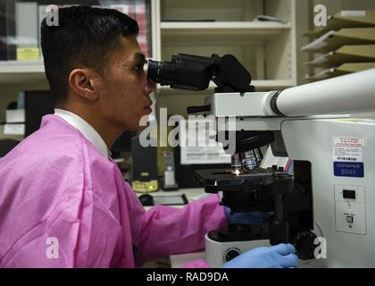 PETERSON AIR BASE, Colo - Senior Airman markieren Paule, 21 medizinische Unterstützung Squadron medizinische Labortechniker KRAFT, untersucht eine Blut Probe unter dem Mikroskop im Labor in der Klinik auf der Peterson Air Force Base, Colo., Jan. 25, 2017. Medizinische Laboratorien sind Teil der biomedizinischen Wissenschaften Corps, der Jan. 23-27 gefeiert. Stockfoto