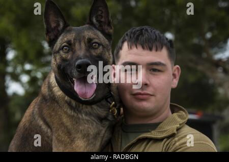Cpl. Jason E. Casbeer und seine militärischen Gebrauchshund, Mac, warten in Okinawa, Japan, Jan. 25, 2017 zu trainieren. Der Hund Teams laufen durch Kurse, die in ihrem Heimatland ihre Deutschkenntnisse explosive ordnance Detection zu bewerten und um die Anwendung der kontrollierten Aggression und die Ausführung der Bekämpfung zu verfolgen. Casbeer, Angleton, Texas, ist ein Tracking Hundeführer mit 3. Strafverfolgung Bataillon, III Marine Expeditionary Force Headquarters Group, III Marine Expeditionary Force. Stockfoto