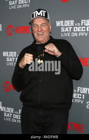 Heavyweight Championship Der Welt' Wilder versus Fury' - Ankunft im Staples Center am 1. Dezember 2018 in Los Angeles, CA bietet: Gast Wo: Los Angeles, Kalifornien, Vereinigte Staaten, wenn: 01 Dez 2018 Credit: Nicky Nelson/WENN.com Stockfoto